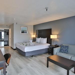 Suite mit Kingsize-Bett